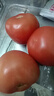 番茄约500g 实拍图