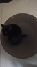 疯狂的主人猫抓板窝碗形大号猫抓盆不掉屑猫窝宠物猫玩具瓦楞纸猫爪板 实拍图