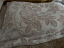 艾薇 A类雕花牛奶绒枕套高克重毛绒枕头套枕芯套一对 爱意粉 48*74cm 实拍图