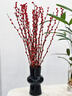 九月生银柳真花30支年宵花干花礼盒新年装饰摆件鲜切室内花卉60cm不含瓶 实拍图