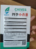 【春菜】耐热耐寒四季小香葱种子易种盆栽蔬果种籽 四季小香葱【易种】沾土发芽 【新种发芽率高】精选5包约4000 实拍图