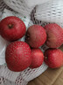 沂蒙山新鲜山楂大金星山楂大五棱鲜果特级大果山楂泡酒冰糖葫芦 4斤净重新鲜大金星山楂大果 实拍图