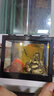 桌面鱼缸小型家用积木缸生态缸水族箱斗鱼缸带小夜灯氛围灯摆件 黑色鱼缸一个灯 实拍图