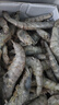 北海湾 虾 青岛大虾鲜活冷冻基围虾 虾类 海鲜水产生鲜白虾青虾海虾对虾 气冻大虾 3斤(净重)  16-18cm【单只冻 特大虾】 实拍图