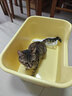 疯狂的主人猫砂盆超大号半封闭式特大号猫厕所防外溅大黄油猫沙猫屎盆猫用品 实拍图
