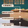 鲜京采生巧核桃布朗尼蛋糕360g 浓郁冰淇淋糕点茶歇聚会送家人 实拍图