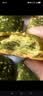 奉化特产千层饼 宁波溪口特产千层饼 饼干 海苔味芝麻味 礼盒装320g 实拍图