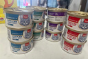 顽皮（Wanpy）泰国进口猫罐头85g*12罐 四种口味猫罐头猫粮猫零食（口味随机） 实拍图