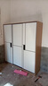 京桐【包安装】全实木衣柜卧室可推拉衣柜简约出租屋储物收纳衣柜 【长180*深50*高200】主柜 实拍图