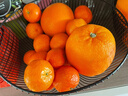 集南鲜 赣南脐橙 江西橙子新鲜现摘水果脐橙时令生鲜水果甜橙 水果礼盒 净重9斤 精品橙 单果160-220g 实拍图