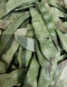 京鲜生山东新鲜油豆角3斤装新鲜蔬菜源头直发包邮 实拍图