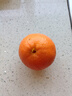 京鲜生 四川爱媛38号果冻橙 净重8.5-9斤 单果210g+ 源头直发包邮 实拍图
