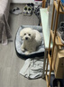 licheers猫狗窝小型犬宠物猫咪睡垫冬季舒适保暖泰迪中大型犬狗垫子 XL号 实拍图