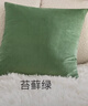 京东京造棉花糖抱枕 超柔棉棉绒沙发床头客厅办公室腰靠枕垫苔藓绿45x45cm 实拍图