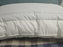 然牌 荞麦枕 护颈枕五星级酒店枕软硬两用枕全棉 单只装48x74cm 实拍图