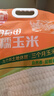 十月稻田 白糯玉米 8根 4.16斤 东北甜粘玉米 非转基因 低脂早餐 实拍图