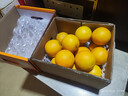 京鲜生 云南哀牢山冰糖橙/橙子 净重5斤 单果130g-170g 生鲜水果礼盒 实拍图