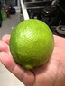 京鲜生 塔西提无籽柠檬 青柠檬 2斤装 单果60g起 生鲜水果 实拍图