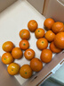 京鲜生 正宗广西砂糖橘净重4.5斤 单果35-55mm 精品果 源头直发包邮 实拍图