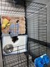 宠乐乖（CHONGLEGUAI）狗笼猫笼狗笼子中小型犬带厕所幼犬折叠便携猫笼子猫咪兔笼850ZG 实拍图