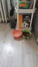 【京东快递】宠物猫碗马卡龙色象腿护颈碗高脚斜口饮水喂食狗碗 胭脂粉（单碗） 实拍图