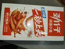 劲仔深海小鱼休闲零食鱼仔海味小吃小鱼干 麻辣+酱汁 600g 实拍图