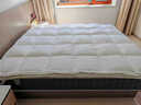 IZEIZIG双层羽绒床垫五星级酒店超软垫加厚白鹅绒双重垫被褥子家用床褥子 白色 120x200cm 实拍图