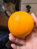 京觅江西赣南脐橙 9斤净重橙子单果180g起纽荷尔甜橙新鲜水果源头直发 实拍图