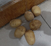京喜加新鲜黄心土豆农家自种黄皮马铃薯黄心洋芋新鲜蔬菜 1斤 实拍图