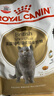 皇家猫粮 英短成猫粮 BS34 通用粮 12月以上 2KG 实拍图