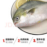 环球水产 南海金鲳鱼净重2斤/2条 生鲜鱼类 深海鱼 海鲜 火锅烧烤家庭聚餐 实拍图