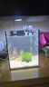 金晶超白玻璃桌面鱼缸小型家用办公室生态懒人全套造景小缸水草缸 鱼缸全套十件超值大礼包+盖子 20*20*25 实拍图