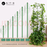 九千谷植物攀爬支架包钢管花盆爬藤花架蔷薇月季葡萄固定架子45CM4627 实拍图