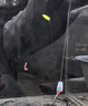 环盛新款免调漂七星漂传统鲫鱼专用高灵敏度醒目豆钓冬季钓鱼溪流 7+2圆柱型A2#适用线径0.6-1.5# 1组 实拍图