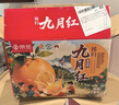 京觅秭归九月红果冻橙爆汁橙子净重7斤单果170g+新鲜水果源头直发包邮 实拍图