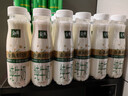 伊利金典3.8g乳蛋白 鲜活纯牛奶250ml*8瓶 30天常温短保 年货礼盒装 实拍图