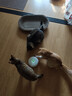 霍曼（Homerun）宠物智能甜甜圈 猫玩具 猫咪陪伴玩具CT10 实拍图