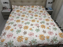 洁丽雅A类抗菌纯棉被套100%全棉磨毛加厚学生宿舍被罩凌霄苏语200*230cm 实拍图