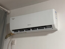 京东家政清洗 挂式空调单台全拆洗 高温除菌消杀保养保洁上门服务 可使用区域详见商详页 实拍图