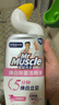 威猛先生（Mr Muscle）洁厕灵 600g*2瓶 恋恋桃花 含84精华 洁厕剂 除菌洁厕液 马桶清洁 实拍图