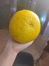 京觅江西赣南会昌桔柚4.5斤净重黄金贡柚甜橘子单果70mm+水果源头直发 实拍图