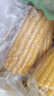 京鲜生 东北黄玉米260g*10棒 真空包装黏玉米棒粘玉米 源头直发 实拍图
