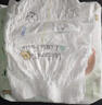 好奇（Huggies）小森林纸尿裤NB66片(5kg以下)尿不湿心钻【透氧顶配更低敏】 实拍图
