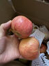 京鲜生 新疆阿克苏冰糖心苹果 净重9斤 果径75mm 新鲜水果 实拍图