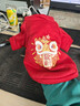 憨憨宠 狗狗衣服 猫衣服宠物衣服变身装猫咪衣服中小型犬幼犬秋冬服装 小舞狮款 S号建议体重2-4斤 实拍图