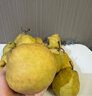 京鲜生 山东烟台中华丑梨 净重4.5斤 6-9粒 生鲜水果 源头直发 实拍图