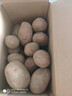 【真便宜】红皮土豆高原黄心土豆马铃薯红皮黄心洋芋 蔬菜水果 红皮土豆 5斤 单果1-3两 实拍图