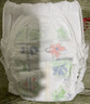 好奇（Huggies）小森林拉拉裤XL32+2片(12-17kg)尿不湿心钻【透氧顶配更低敏】 实拍图