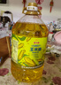 金龙鱼 食用油 非转基因 物理压榨不油腻轻年玉米油4L 实拍图