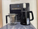 苏泊尔富锶矿化茶吧机家用高端客厅用2025年新茶吧 智能防溢水饮水机净水机一体客厅立式烧水壶 SW-CBJ81 实拍图
